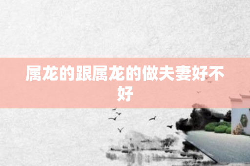 属龙的跟属龙的做夫妻好不好