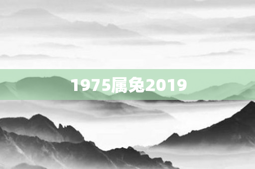 1975属兔2019