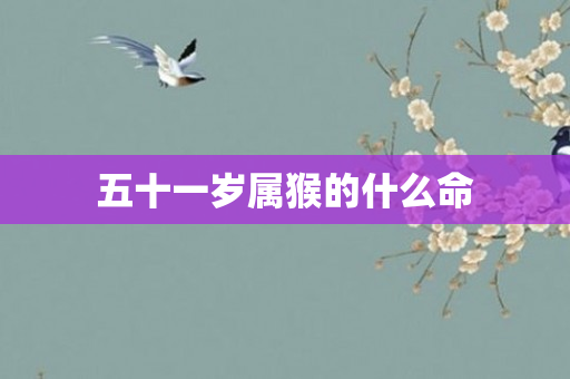 五十一岁属猴的什么命