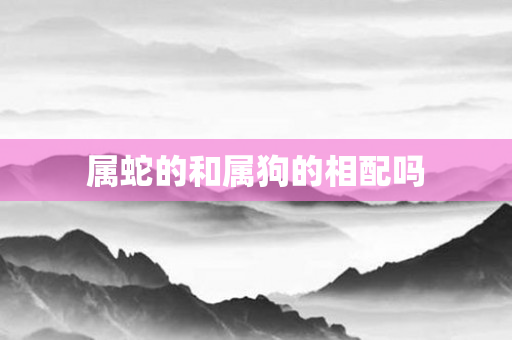 属蛇的和属狗的相配吗