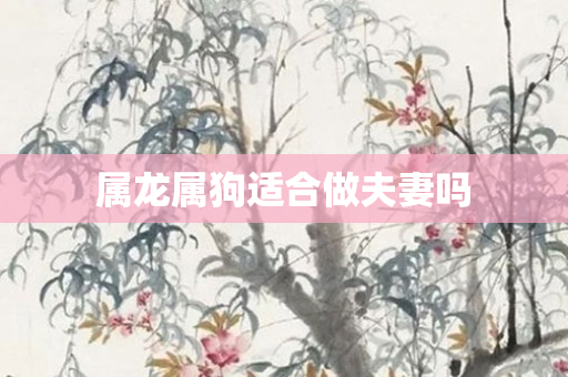 属龙属狗适合做夫妻吗