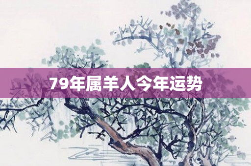 79年属羊人今年运势