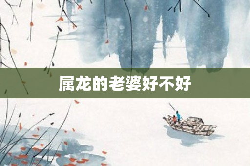 属龙的老婆好不好