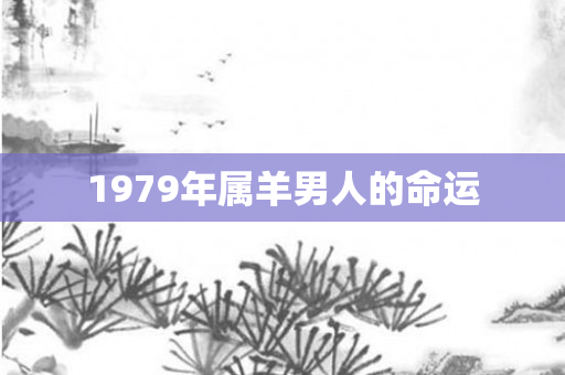 1979年属羊男人的命运