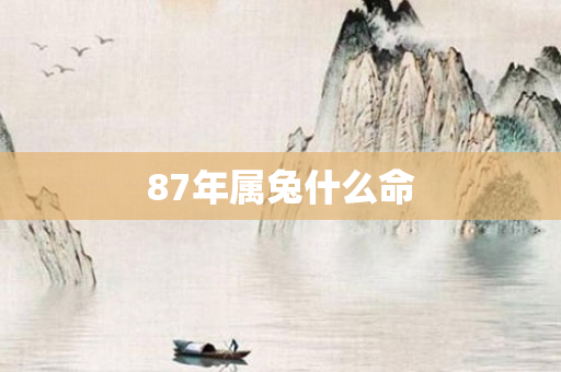 87年属兔什么命