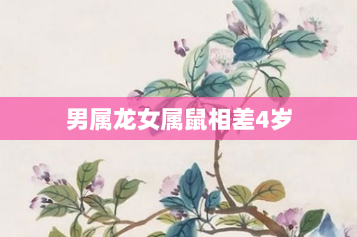 男属龙女属鼠相差4岁