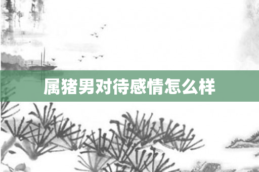 属猪男对待感情怎么样