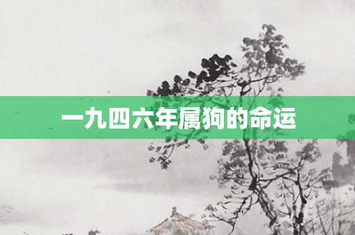一九四六年属狗的命运