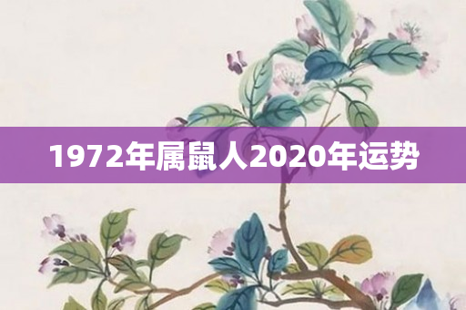 1972年属鼠人2020年运势