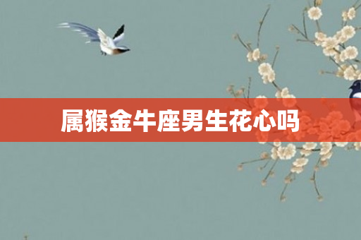 属猴金牛座男生花心吗