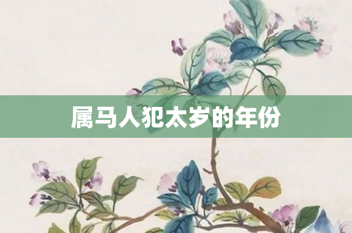 属马人犯太岁的年份
