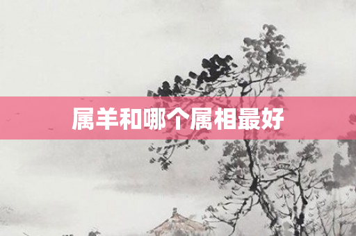 属羊和哪个属相更好