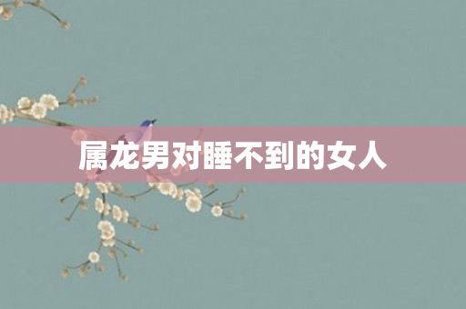 属龙男对睡不到的女人