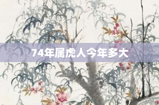 74年属虎人今年多大