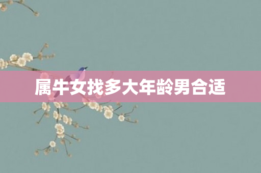 属牛女找多大年龄男合适