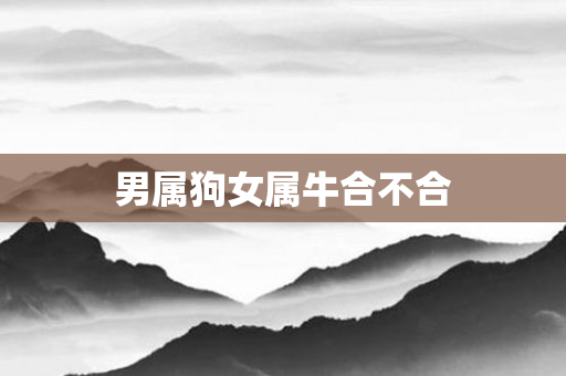 男属狗女属牛合不合