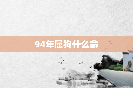 94年属狗什么命