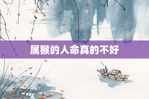 属猴的人命真的不好