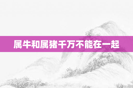 属牛和属猪千万不能在一起