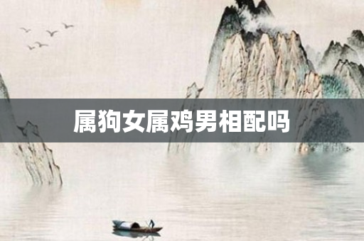 属狗女属鸡男相配吗