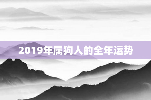 2019年属狗人的全年运势