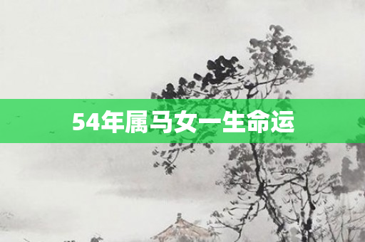 54年属马女一生命运