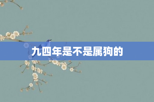 九四年是不是属狗的