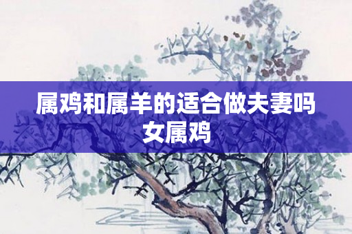 属鸡和属羊的适合做夫妻吗女属鸡
