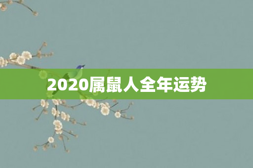 2020属鼠人全年运势