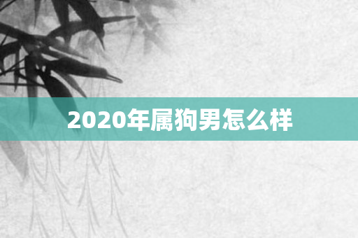 2020年属狗男怎么样