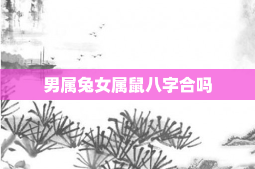 男属兔女属鼠八字合吗
