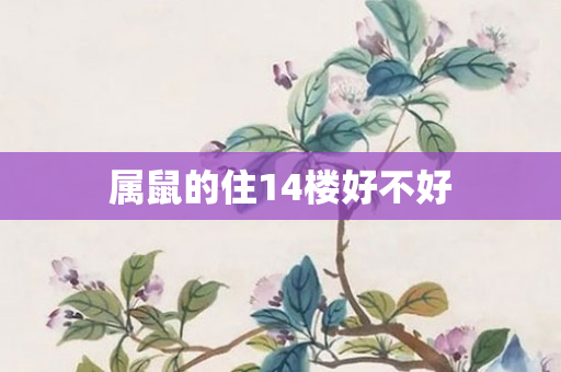 属鼠的住14楼好不好