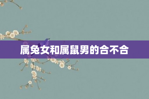 属兔女和属鼠男的合不合