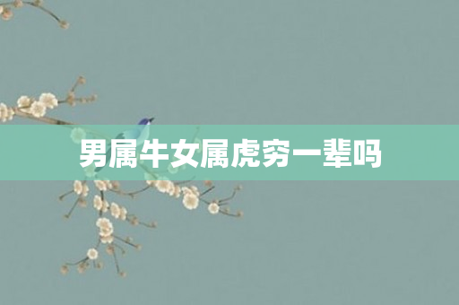 男属牛女属虎穷一辈吗