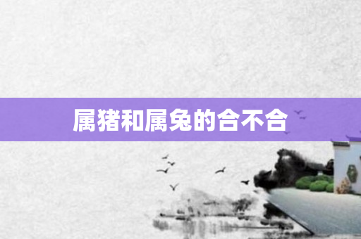 属猪和属兔的合不合