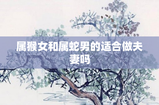 属猴女和属蛇男的适合做夫妻吗