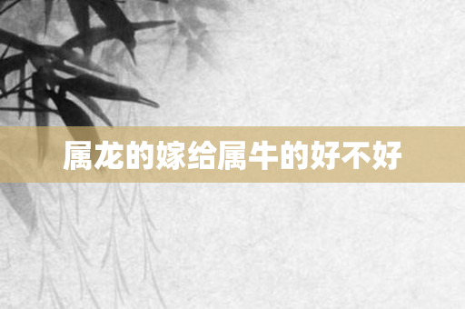 属龙的嫁给属牛的好不好