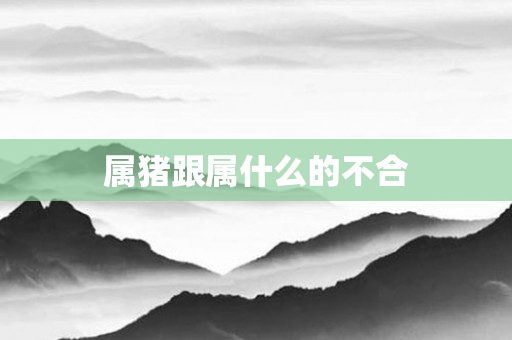 属猪跟属什么的不合