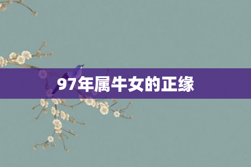 97年属牛女的正缘