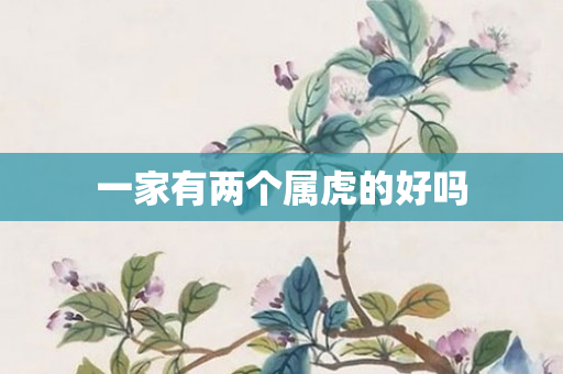 一家有两个属虎的好吗