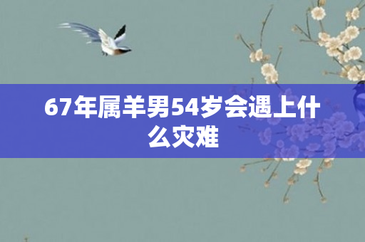 67年属羊男54岁会遇上什么灾难