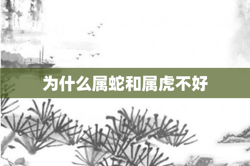 为什么属蛇和属虎不好