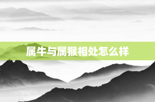属牛与属猴相处怎么样