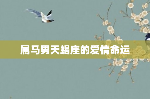 属马男天蝎座的爱情命运
