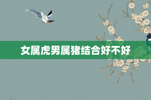 女属虎男属猪结合好不好