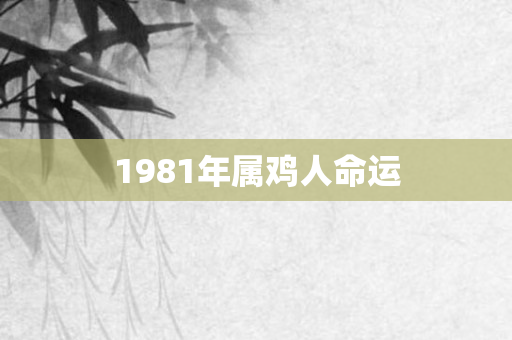 1981年属鸡人命运