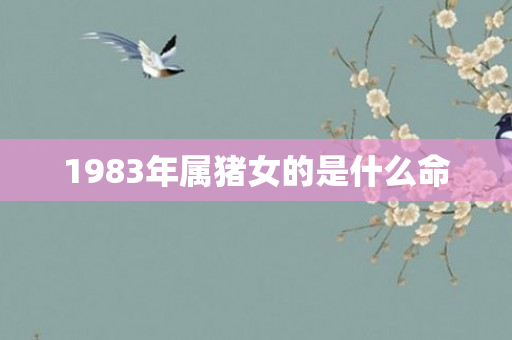1983年属猪女的是什么命