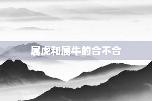 属虎和属牛的合不合