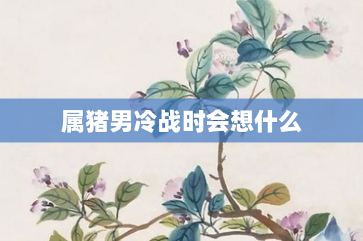 属猪男冷战时会想什么