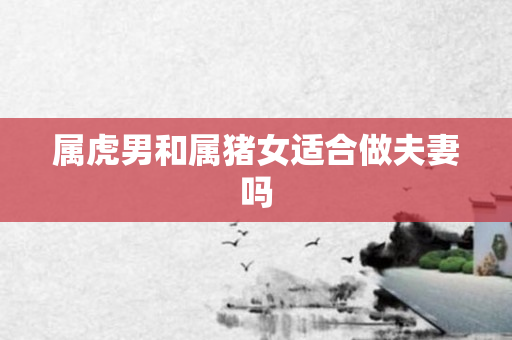 属虎男和属猪女适合做夫妻吗